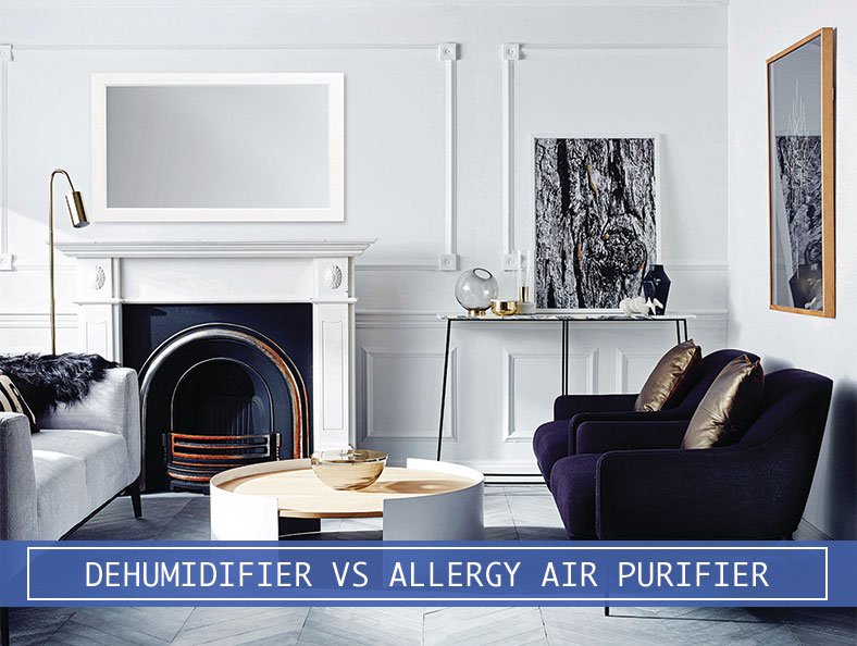 large room with dehumidifier and allergy air purifier
