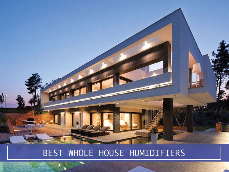 external house whole house dehumidifiers