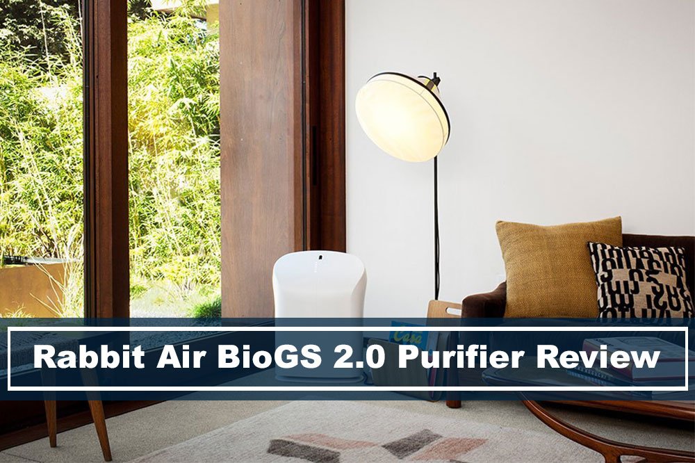 Rabbit Air BioGS 2.0 HEPA Air Purifier In Living Room