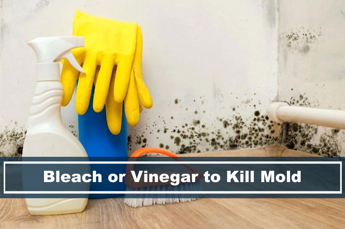 which is better? Bleach or Vinegar to killing mold?